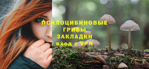 соль курить ск Алзамай