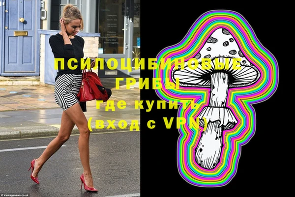 соль ск Алексеевка