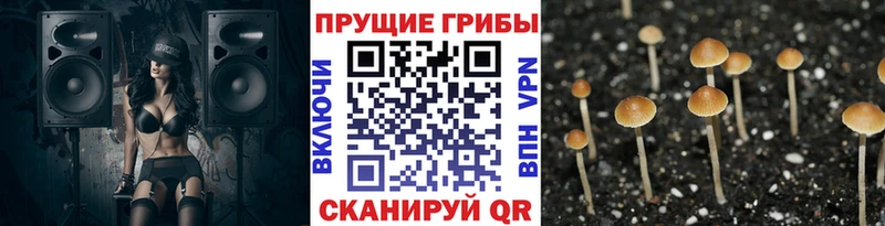 Галлюциногенные грибы мухоморы  наркота  Сенгилей 